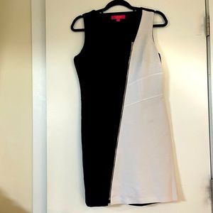 Catherine Malandrino dress